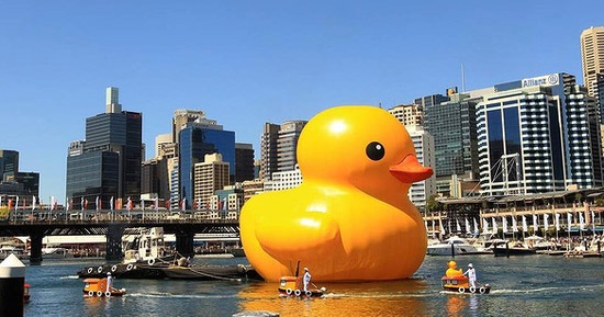 Crowds go Quackers for DMG Engineering’s Pontoon