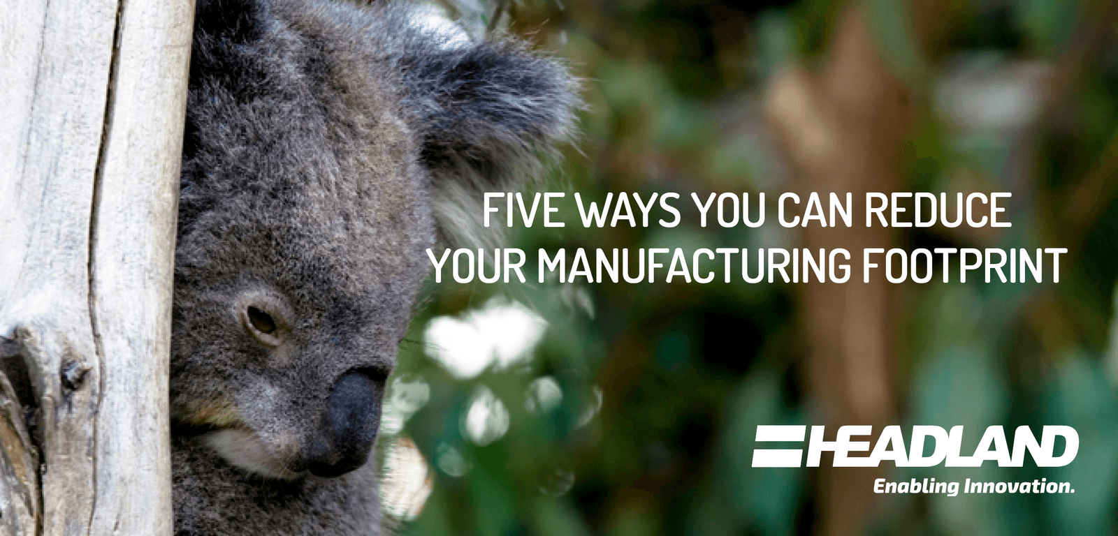 Five Ways You Can Reduce Your Manufacturing Footprint