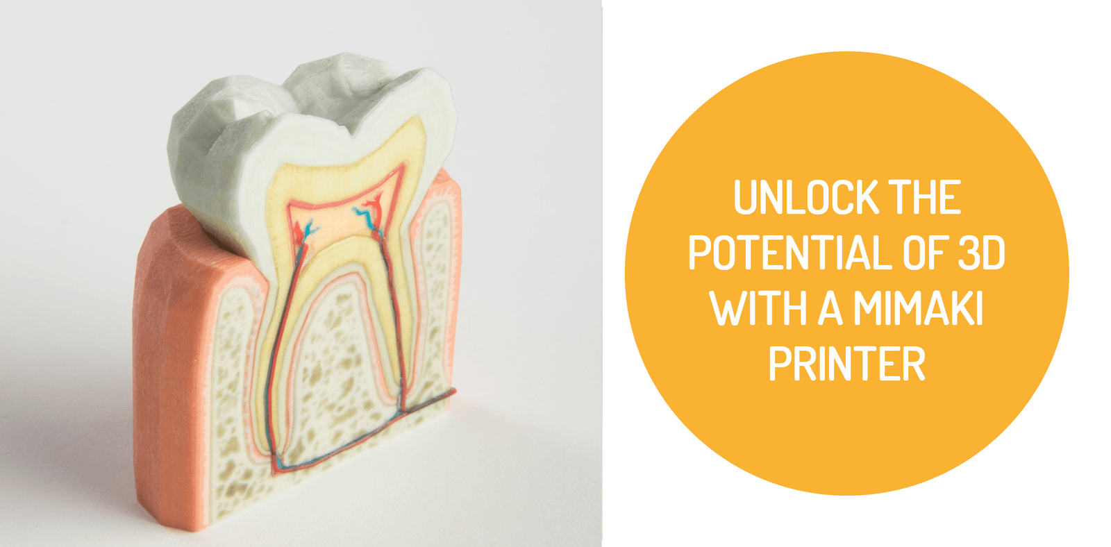 Unlock the Potential of 3D with a Mimaki Printer
